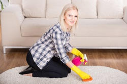 finchley carpet cleaning services