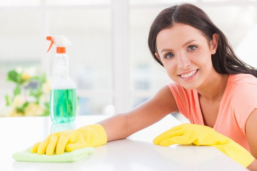 Professional pet stain odour removal service for a Finchley living room carpet