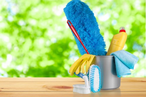 Professional move in cleaning for a Finchley home before unpacking