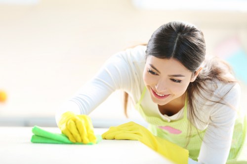 Routine kitchen cleaning in a Finchley property