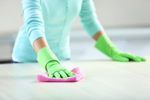Upholstery cleaning equipment ready for a Finchley property