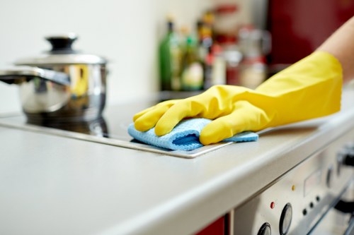 Commercial gutter cleaning service for a Finchley premises