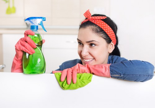 Local cleaners preparing a one-off clean in Finchley