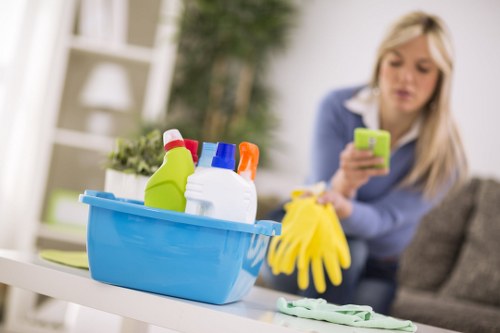 Local Finchley carpet and upholstery cleaning for pet stains and smells
