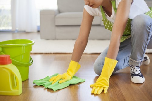 Deep carpet cleaning equipment used in a Finchley property